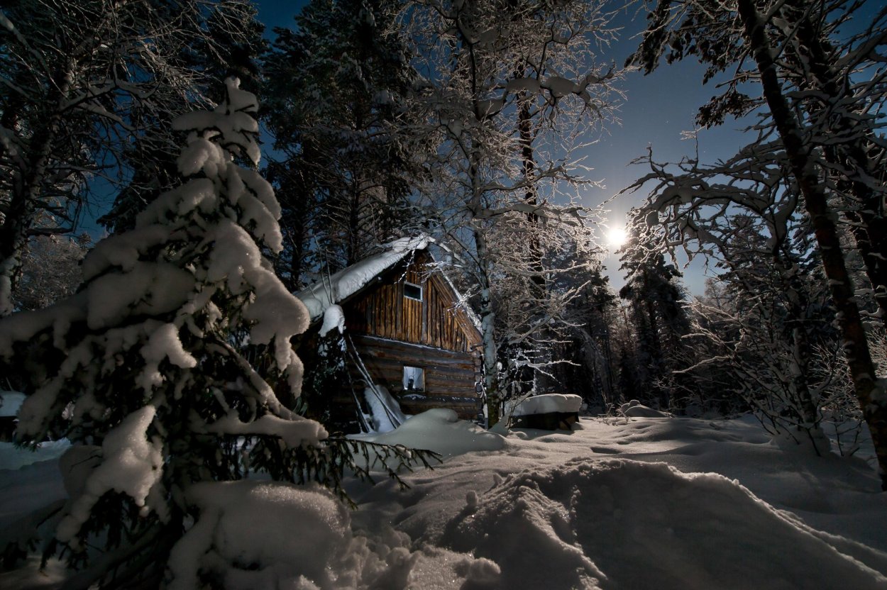 Избушка в лесу