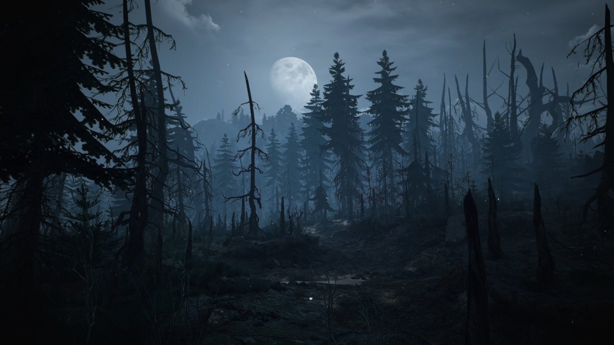 АРД Скеллиге ночь лес