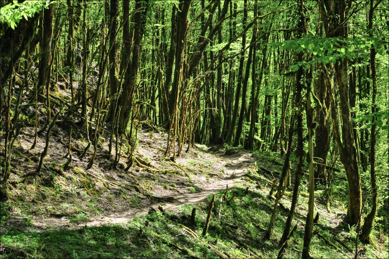 Экотропа Ажек