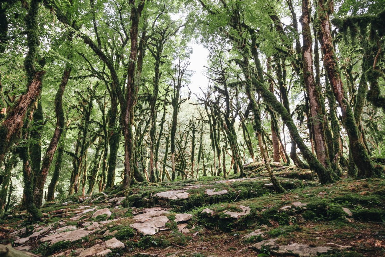 Каньон в Адлере фото