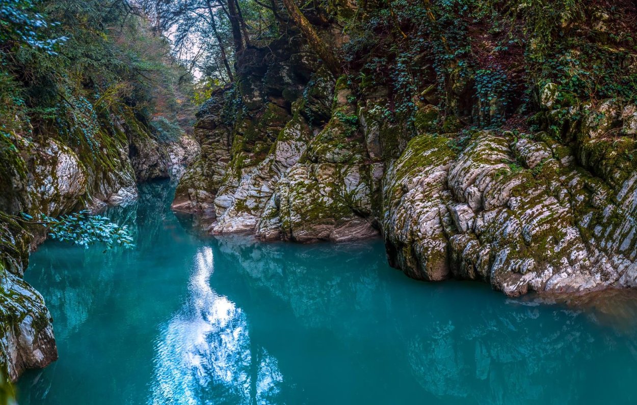 Самшитовая роща и каньон чертовы ворота