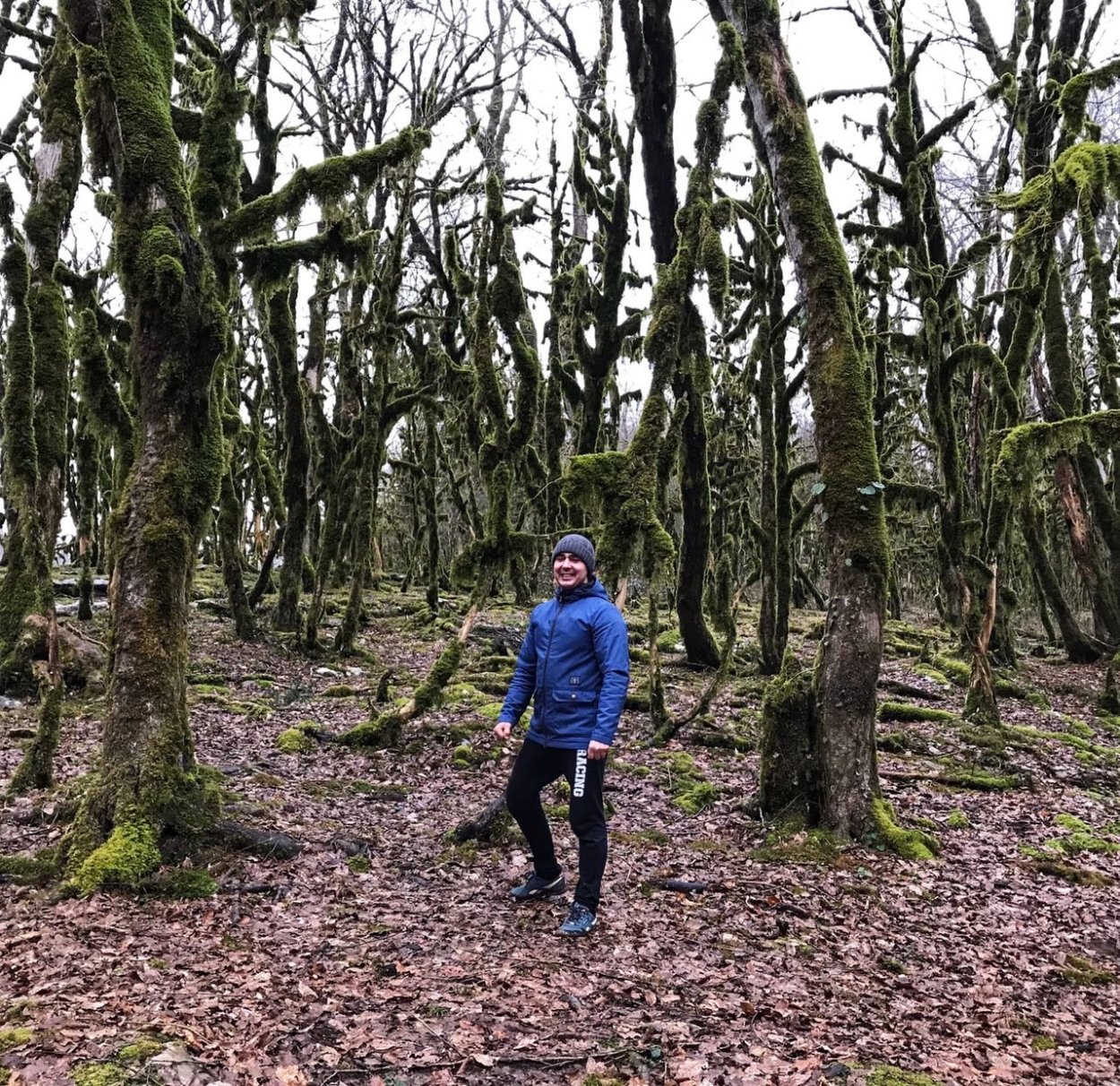 Задебренные лесом кручи