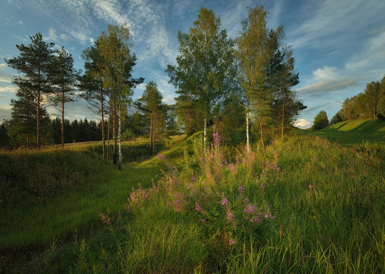 Пейзаж Лесная Поляна