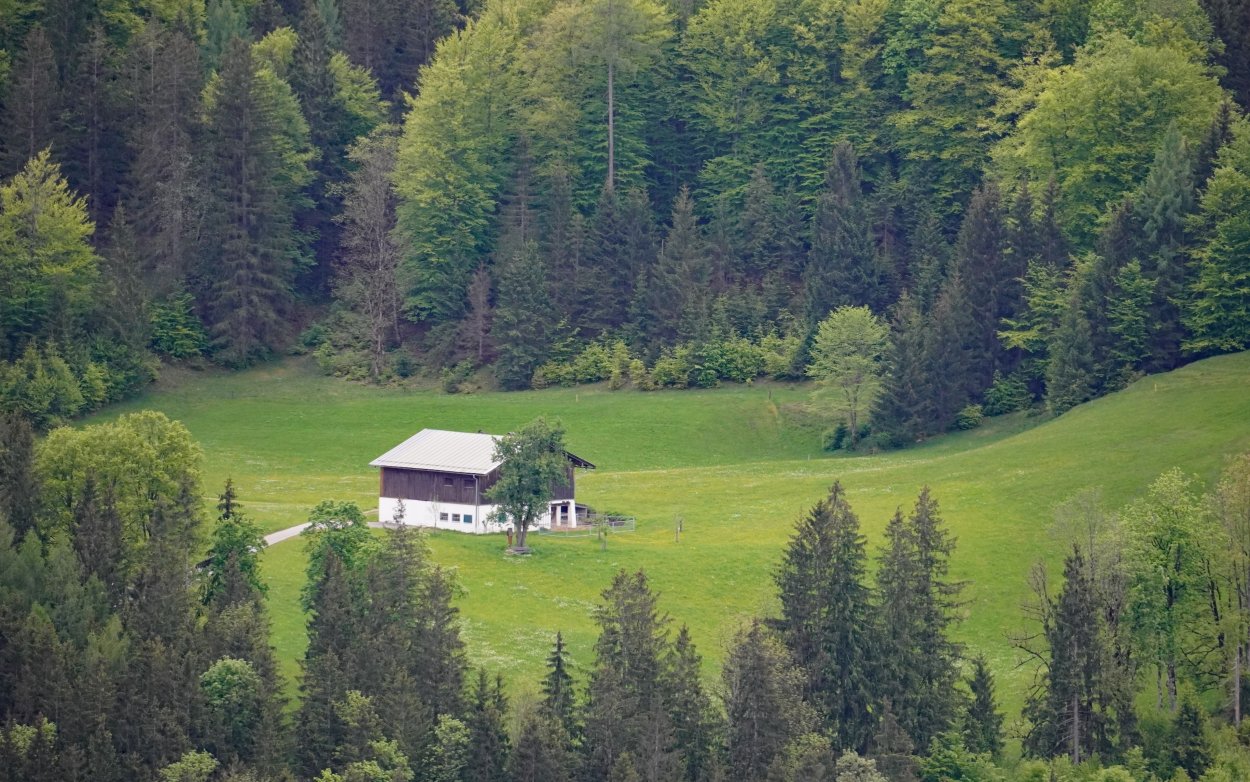 Поляна с домом