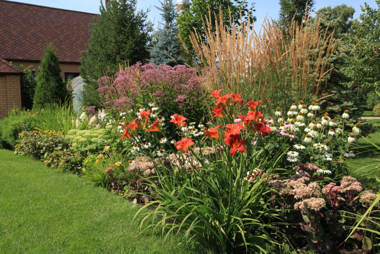 Миксбордер лилейник ирисы