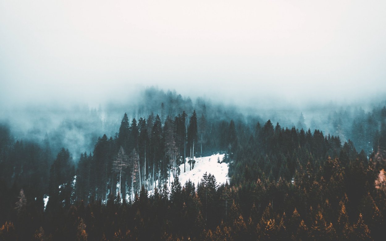 Горы туман лес Скандинавия