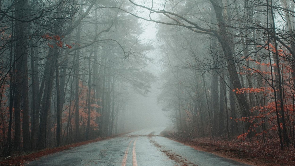 Осень туман