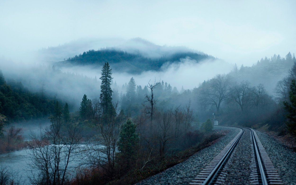 Дорога в тумане
