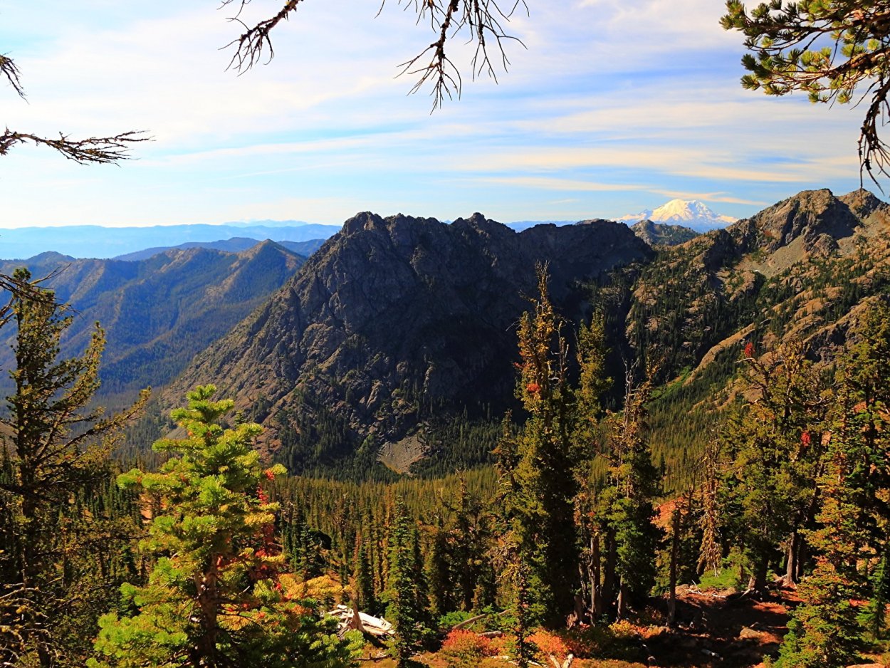 Пейзаж американских лесов