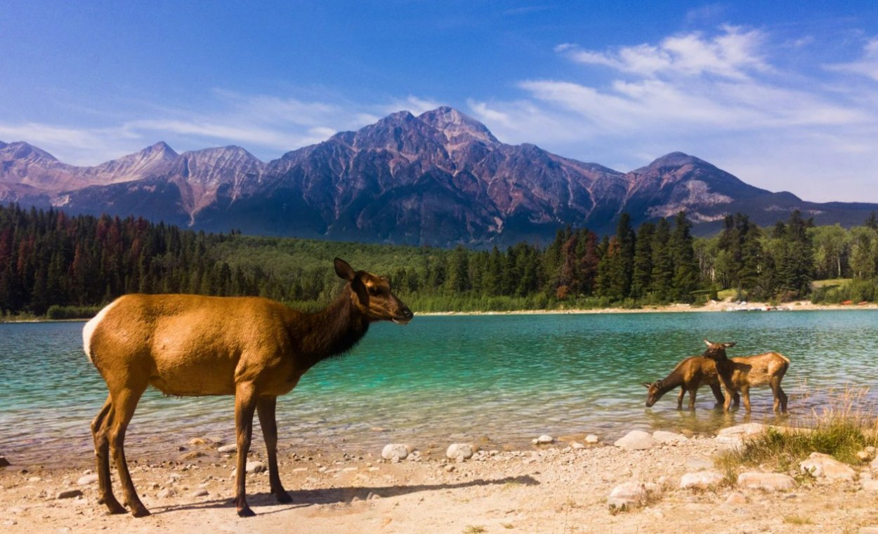 Канадский парк Джаспер
