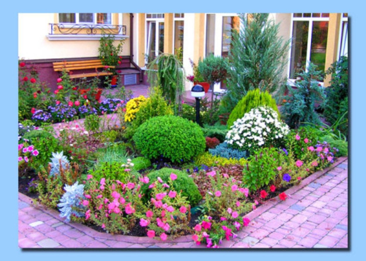 Цветник в палисаднике перед домом из многолетников