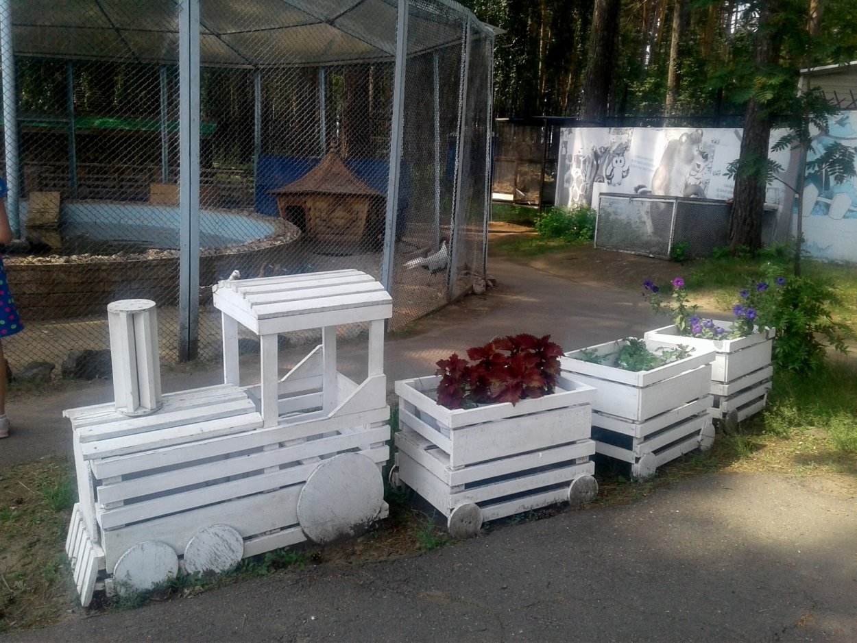 Клумба поезд