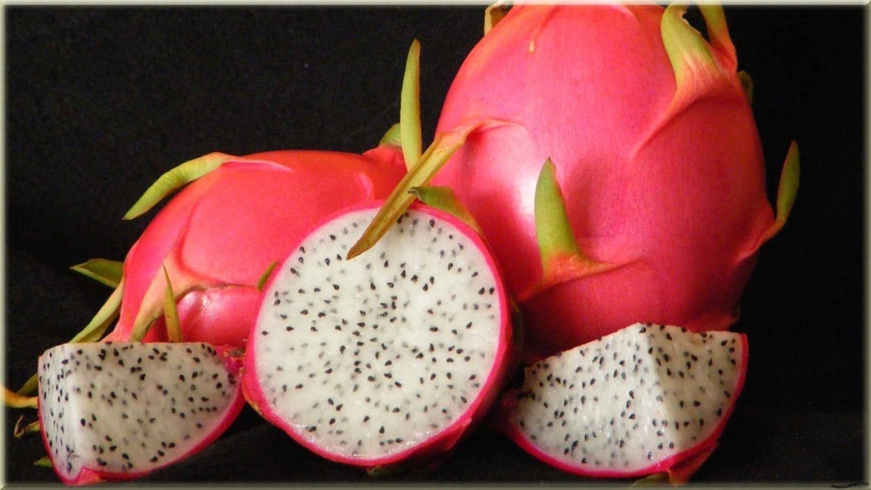 Драконий фрукт палитра