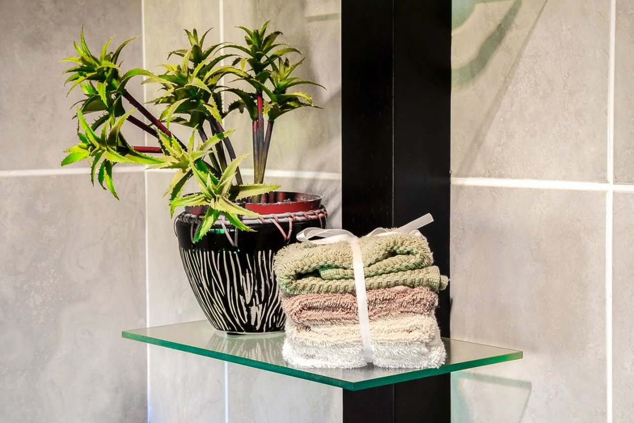 Комнатные растения для ванной комнаты без окон