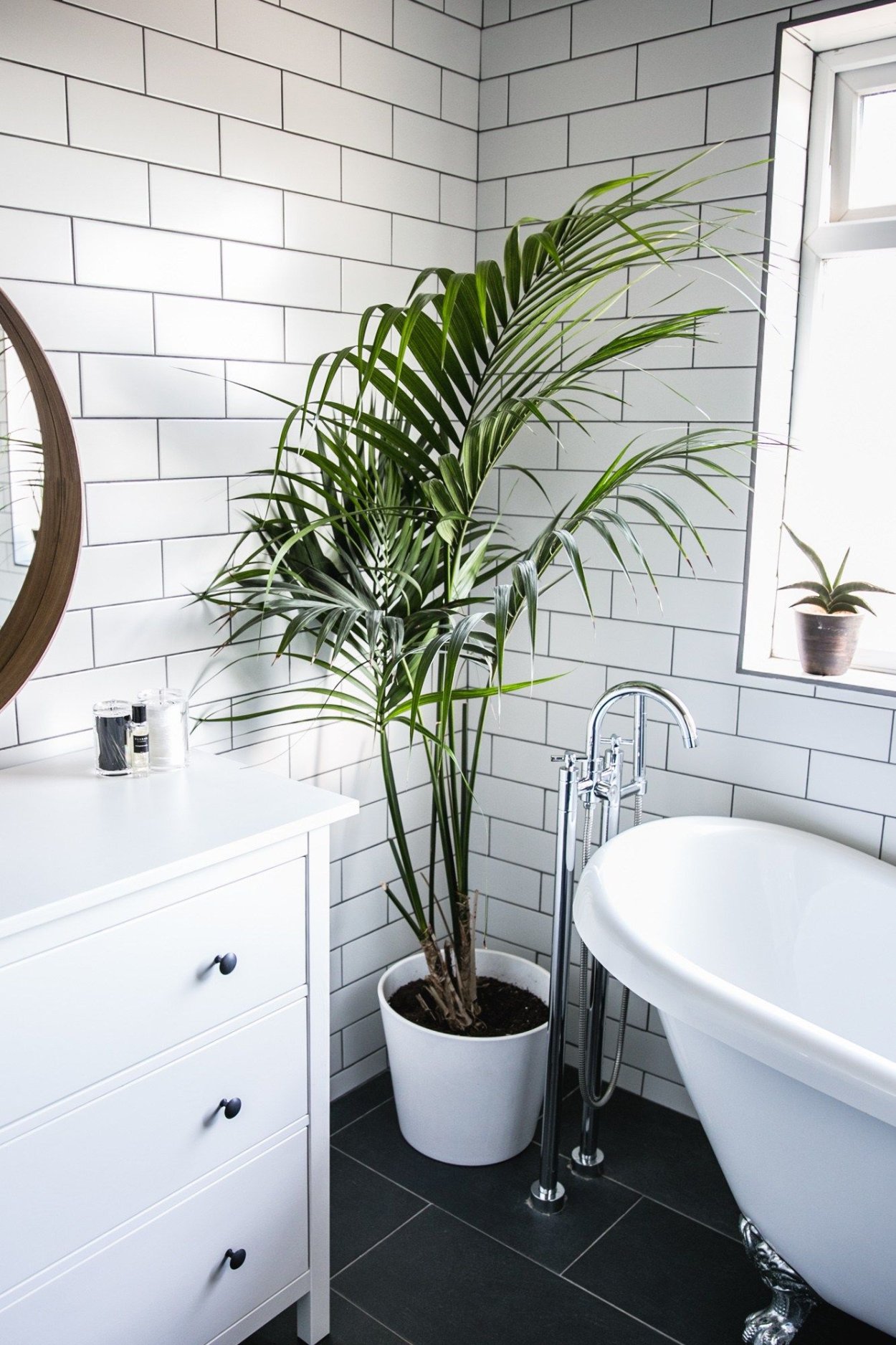 Пальма в ванной комнате