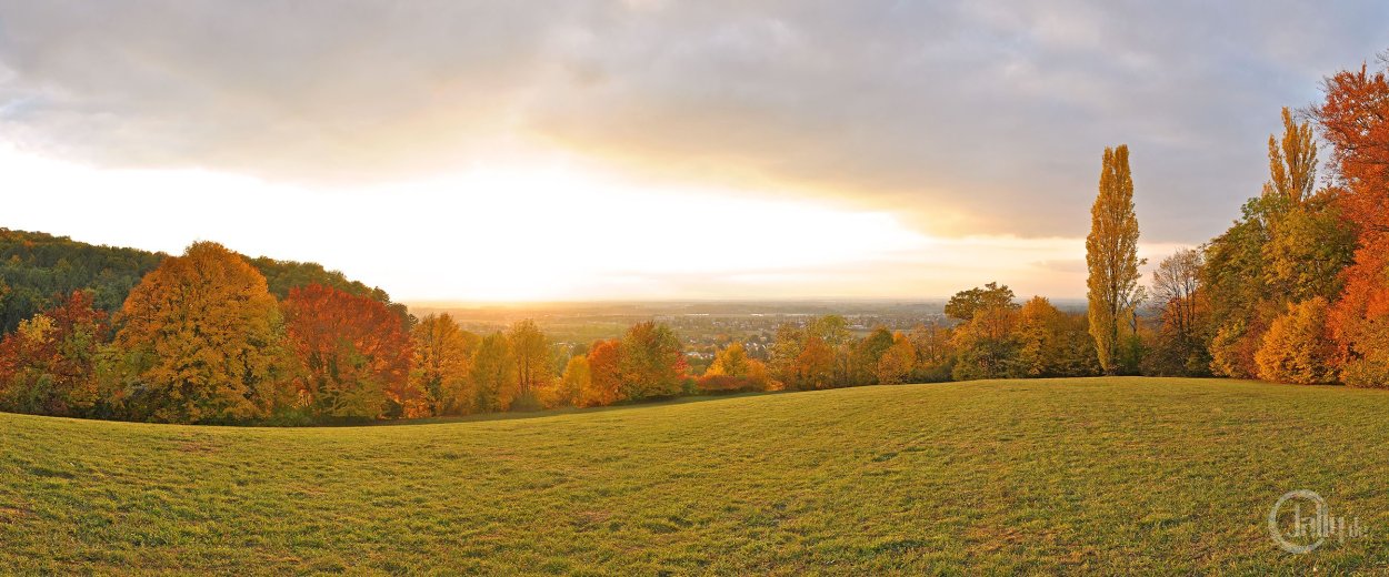 Осенний лес панорама