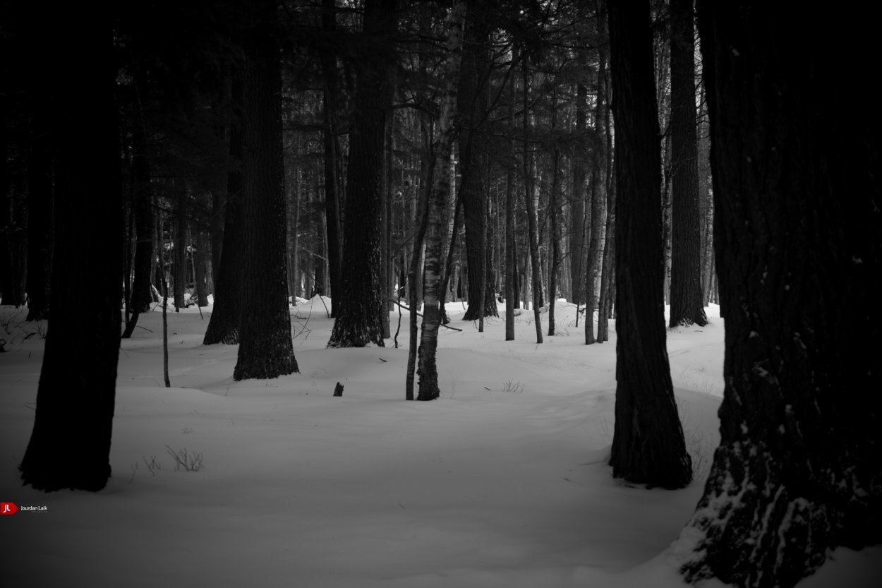 Страшный зимний лес