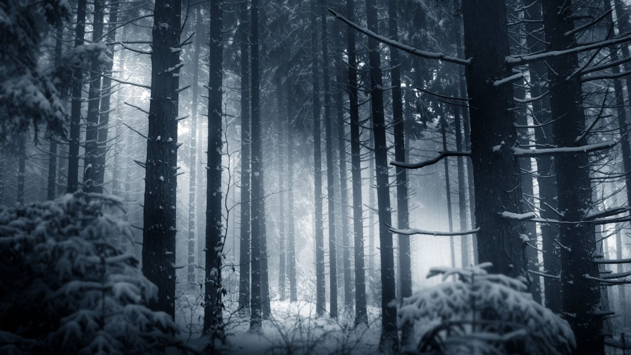 Страшный темный зимний лес