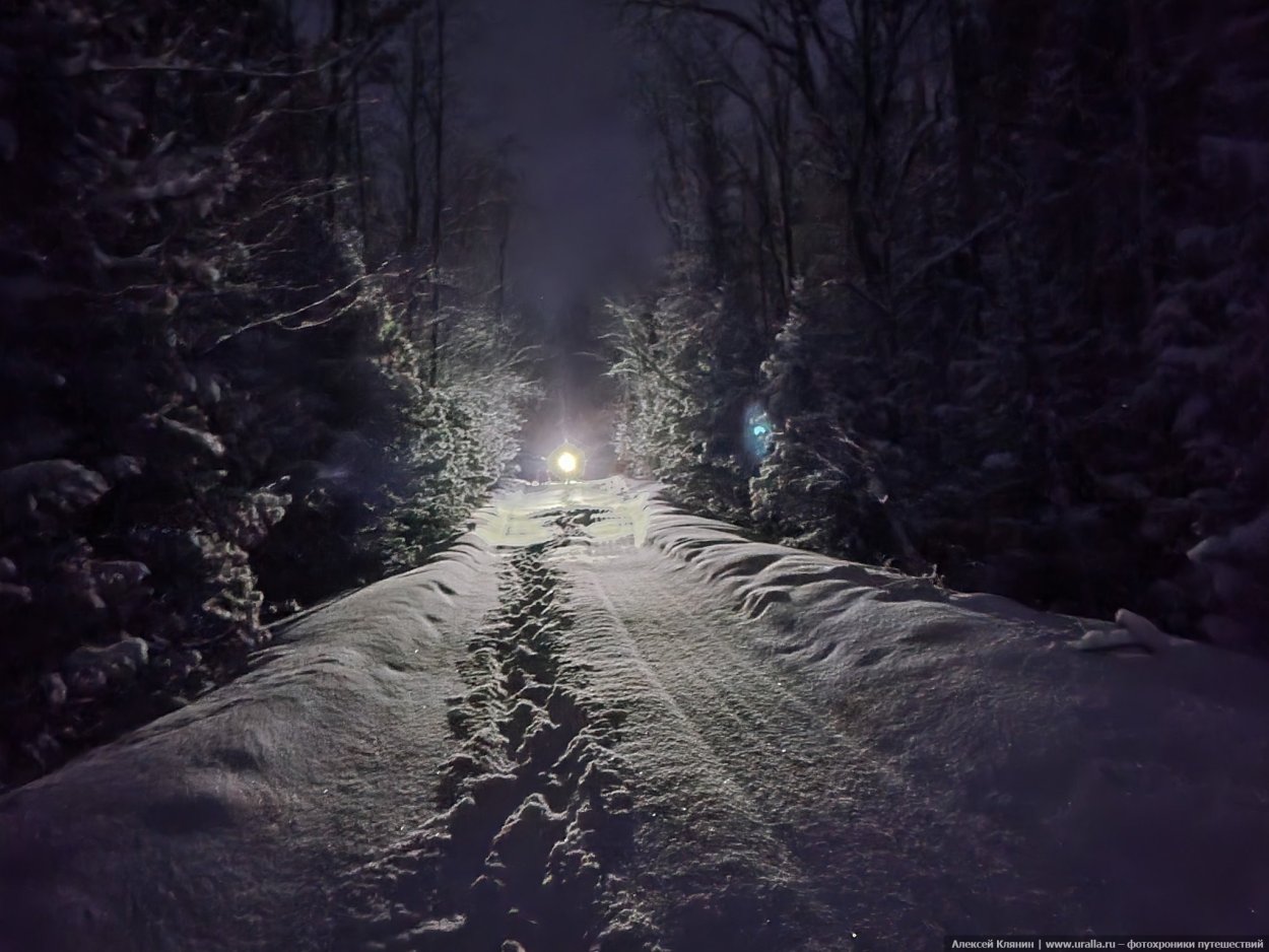 Экспресс в заснеженном лесу