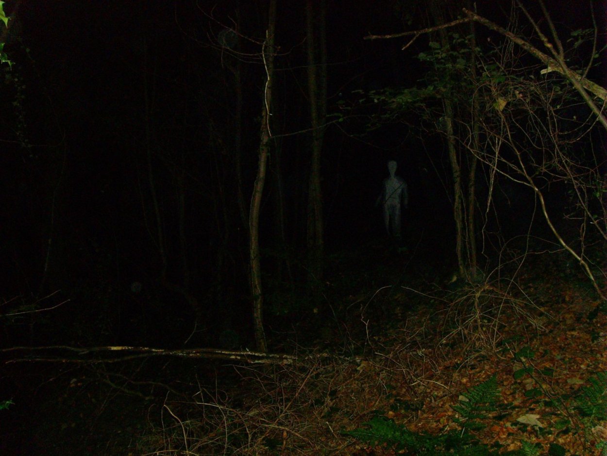 Страшный лес с привидениями