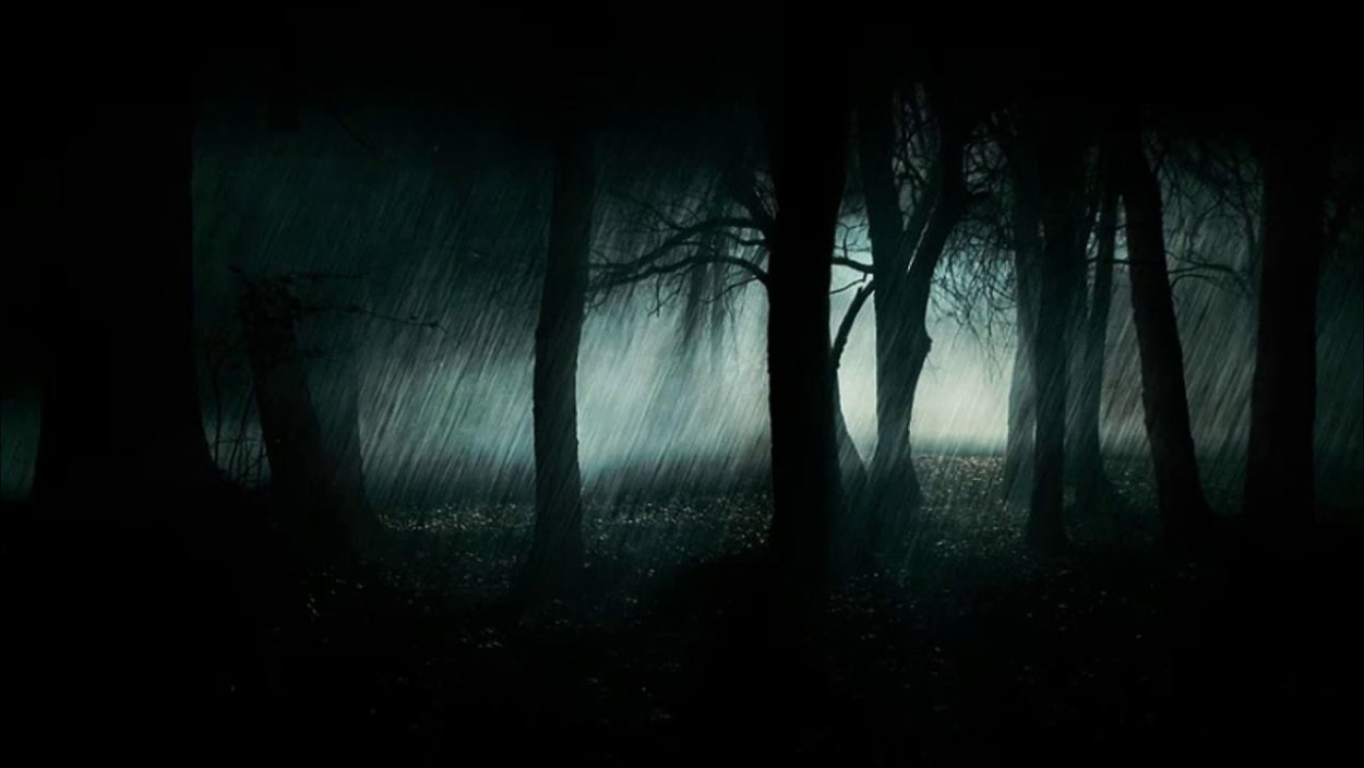 Страшный лес ночью
