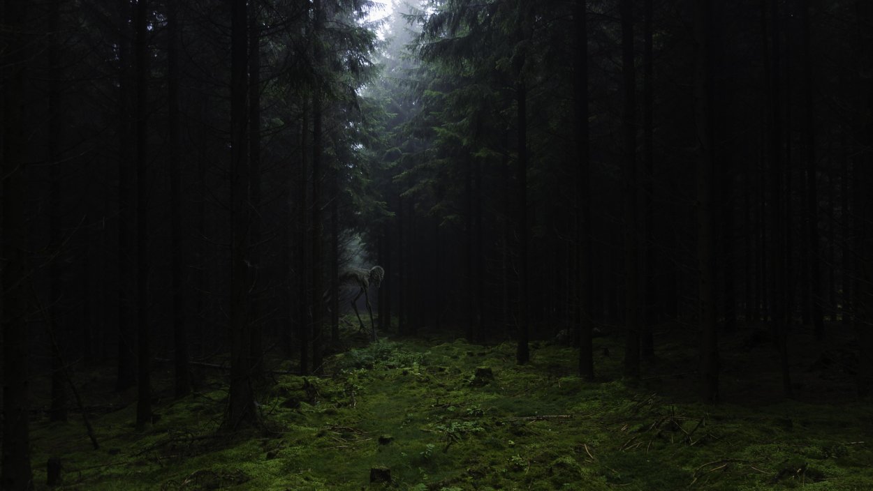 Дарк Форест густой лес