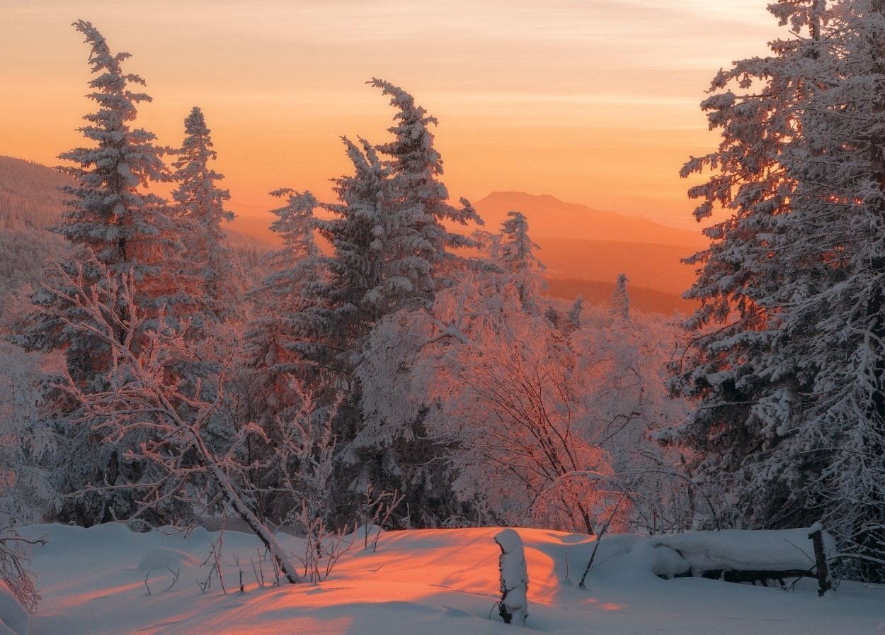 Эстетика природы зима