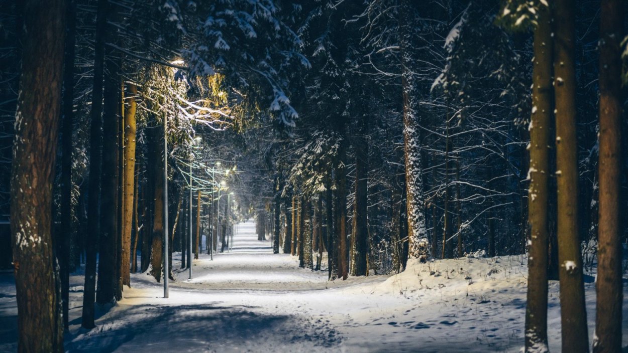 Зимняя аллея