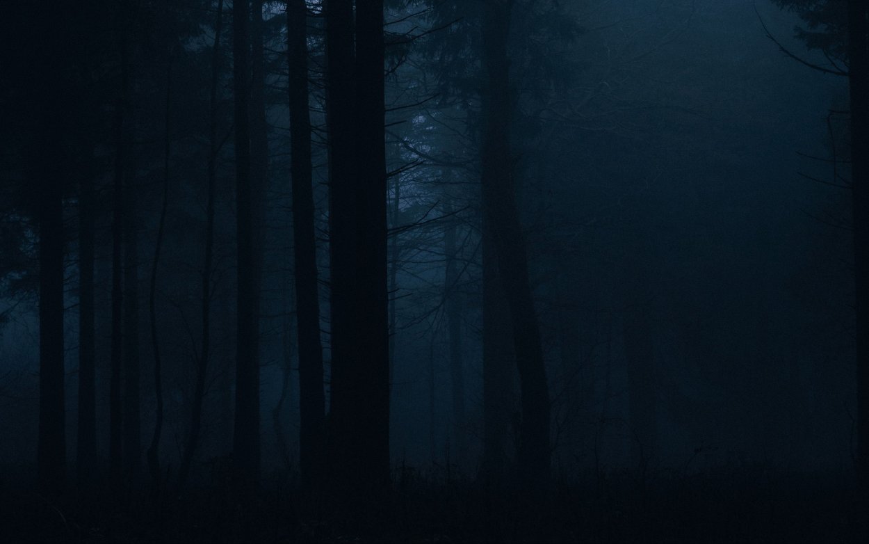 Темный лес