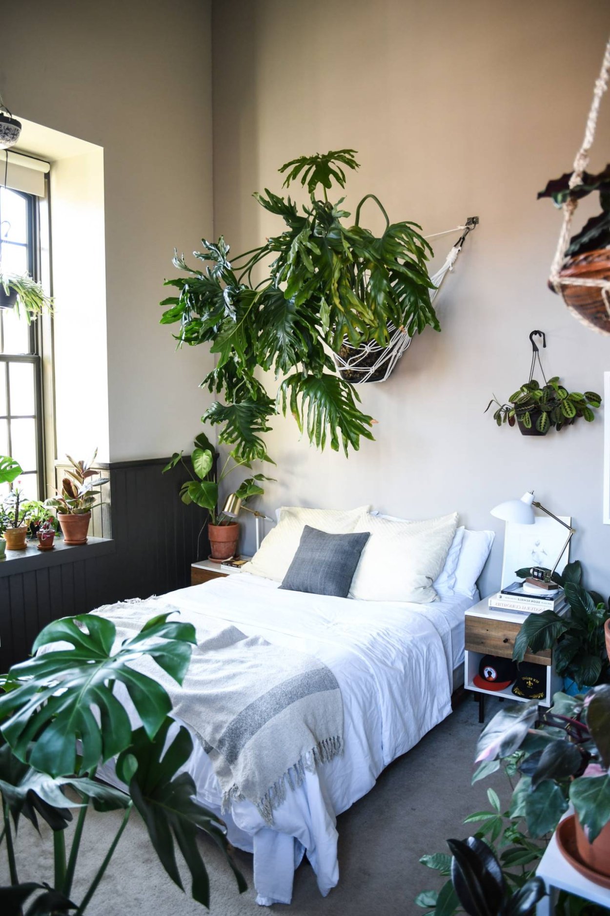 Комната с растениями