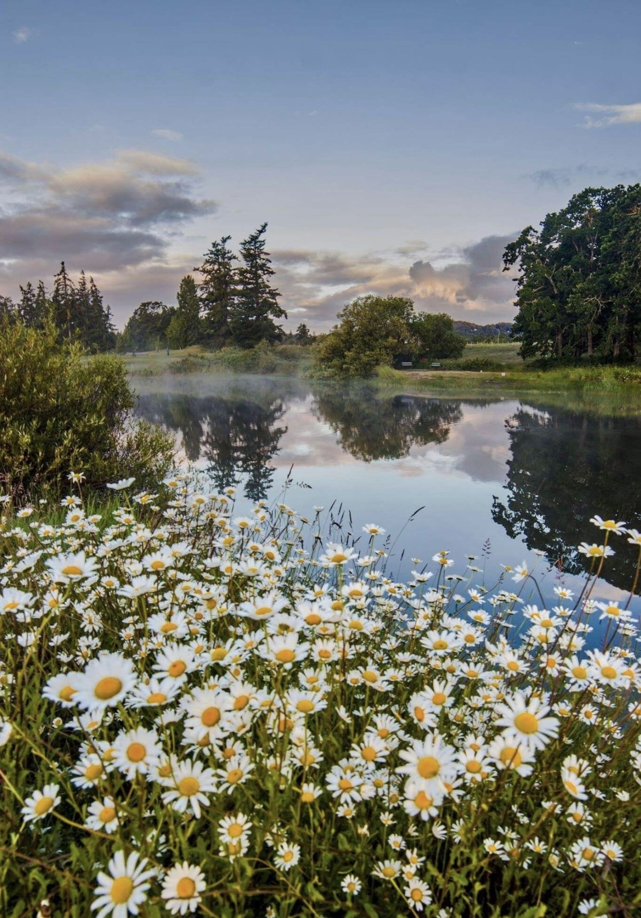 Красивые летние пейзажи