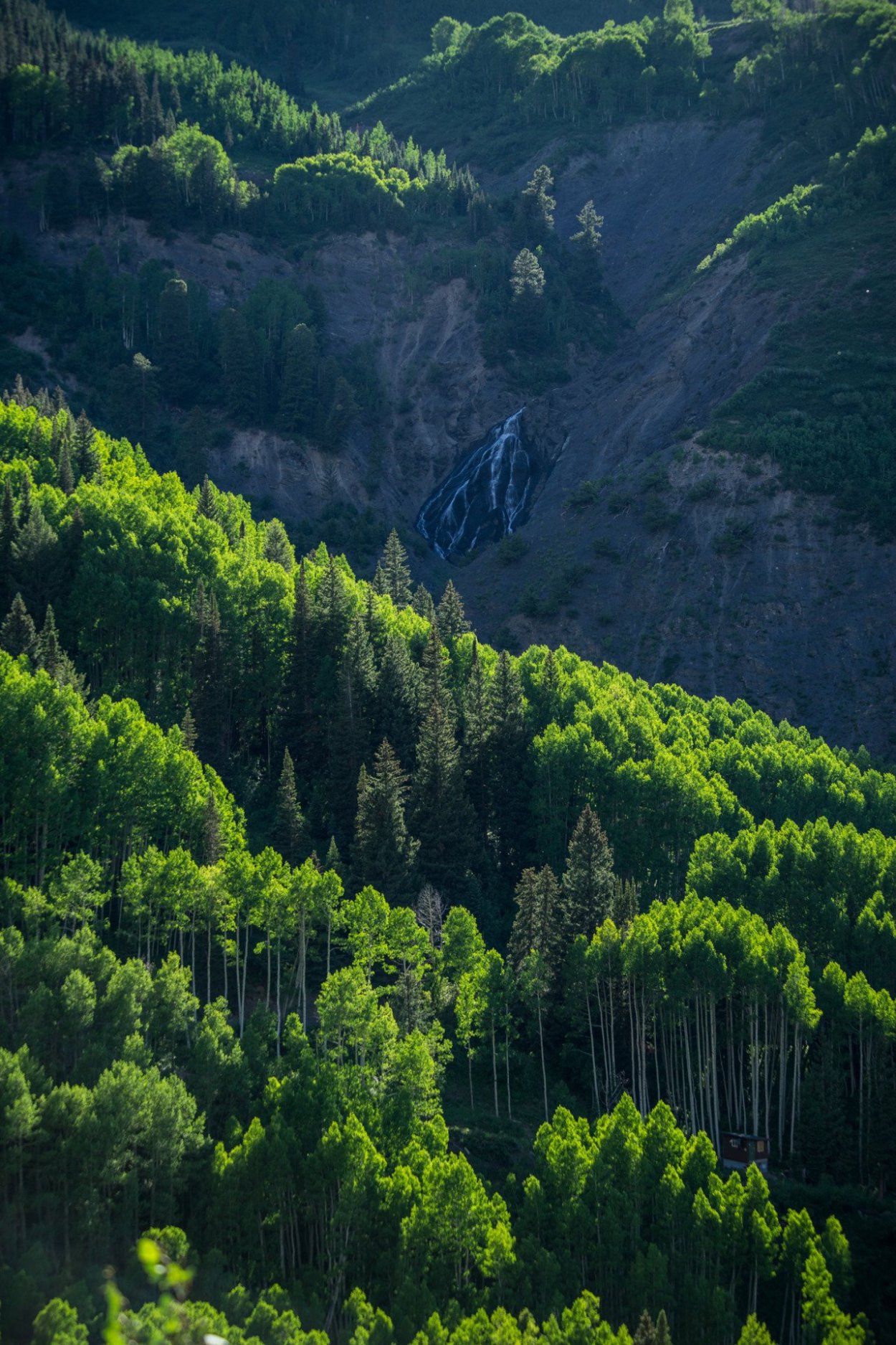Леса вид сверху