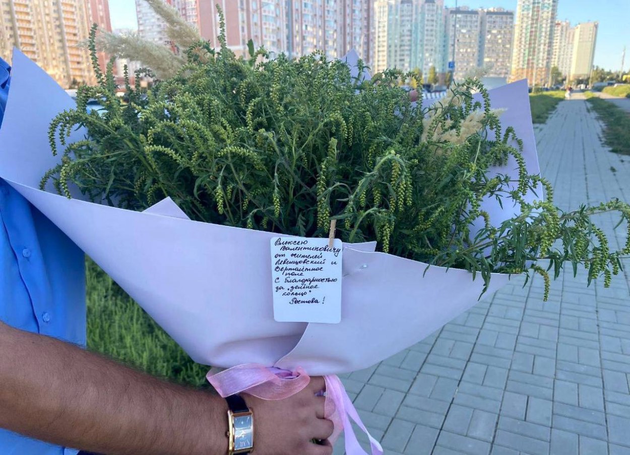 Амброзия полыннолистная