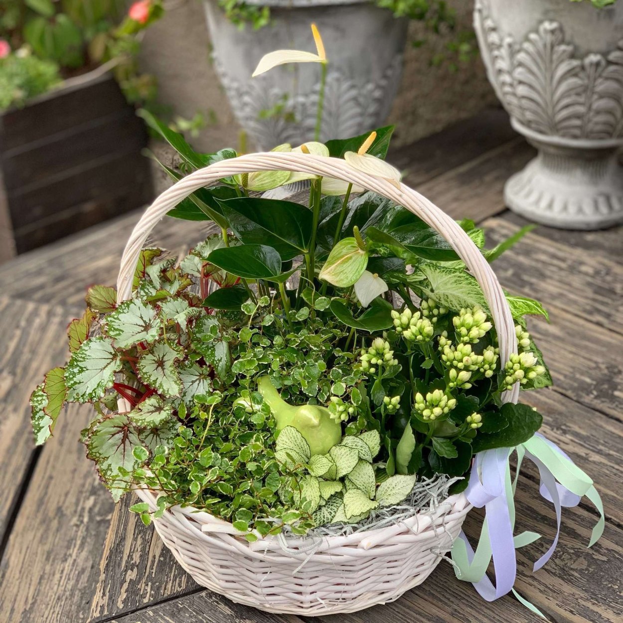 Композиция в горшке