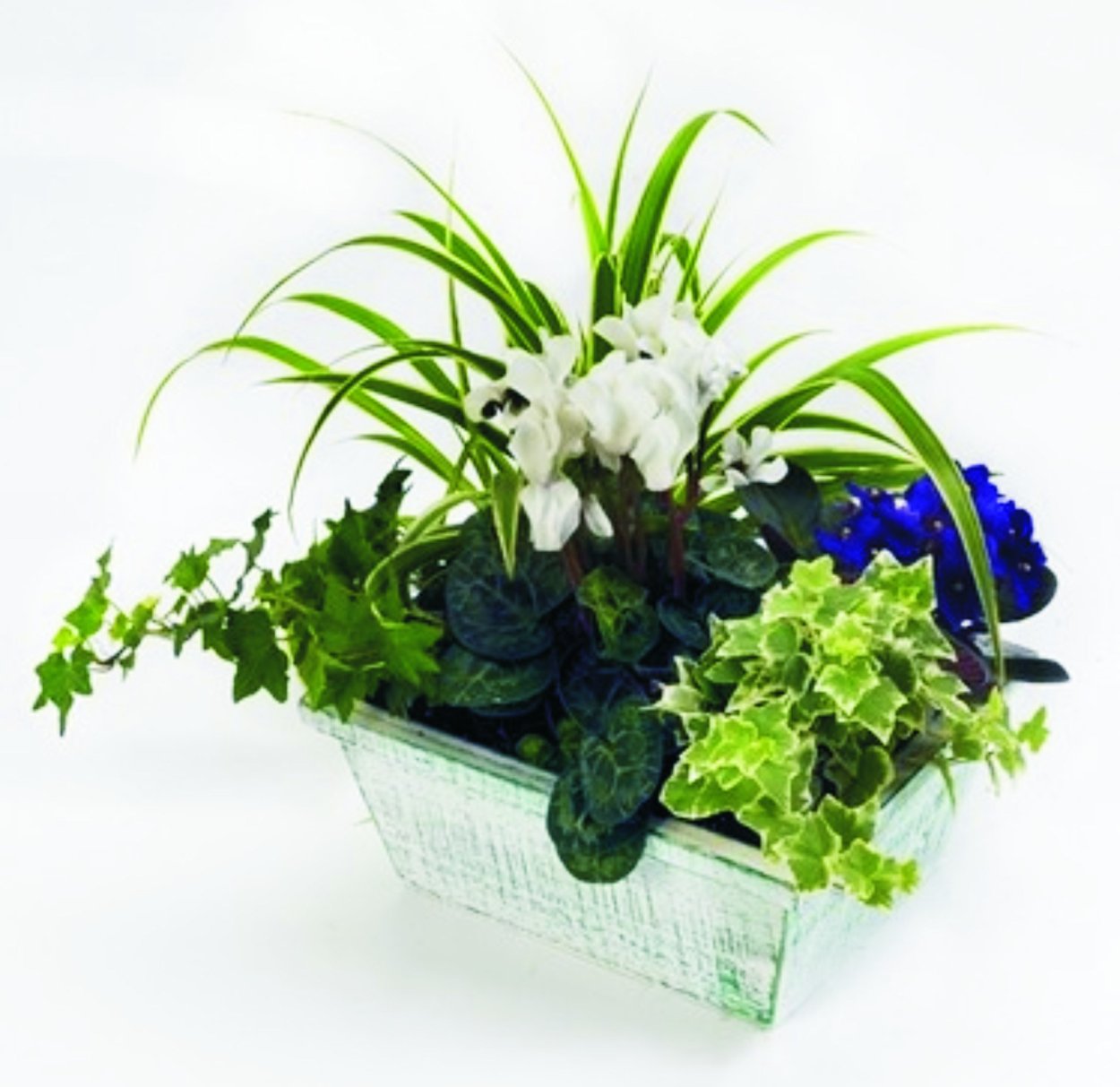 Пот-э-Флер Цветущий горшок