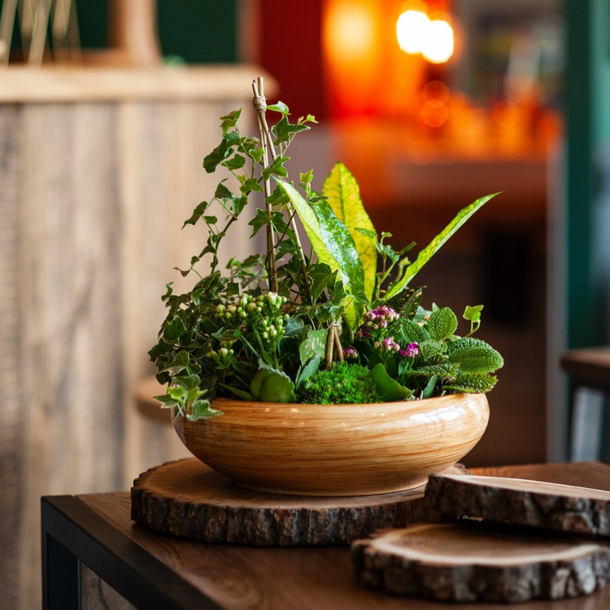 Композиция в горшке