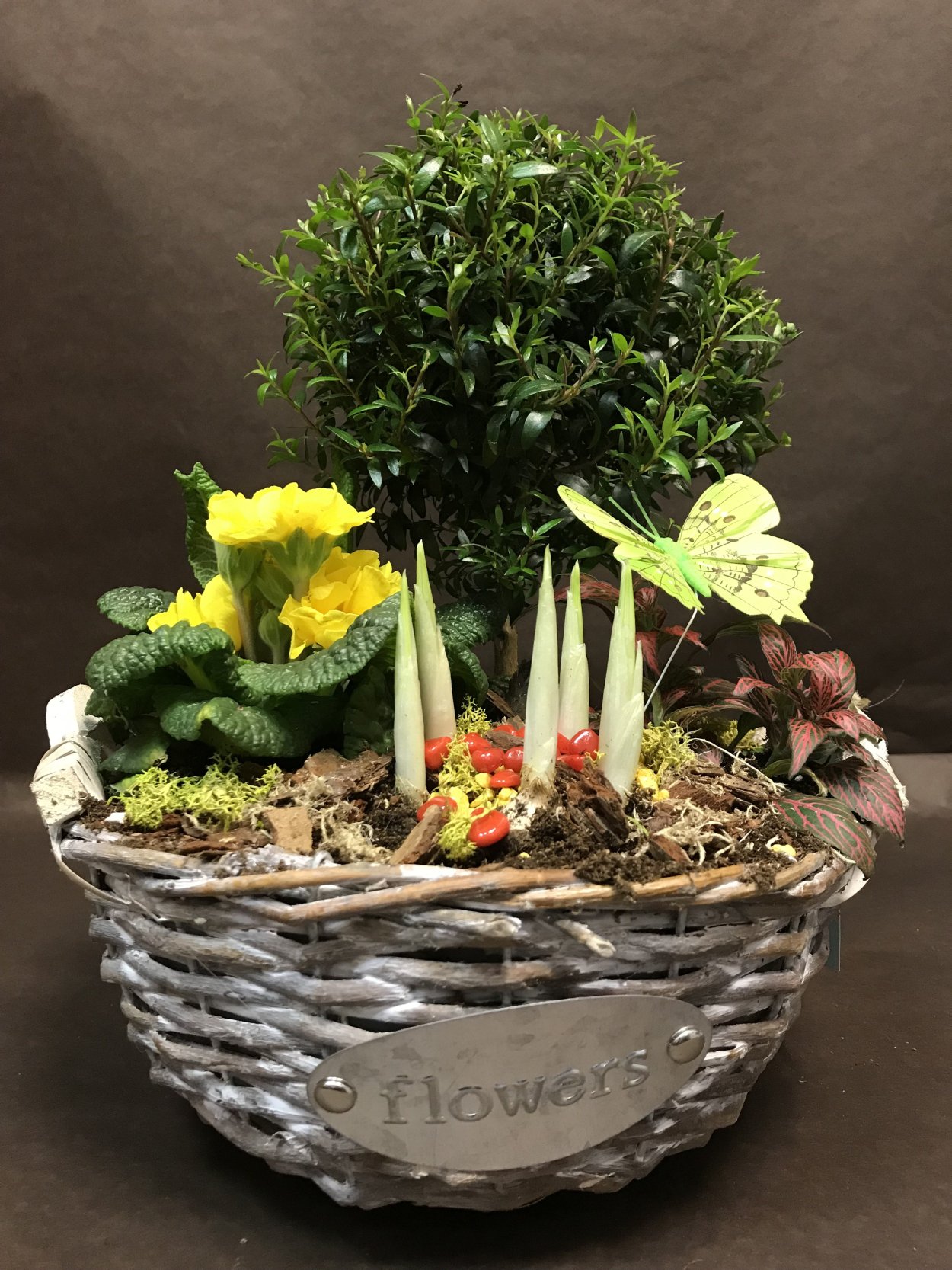 Композиция в горшке