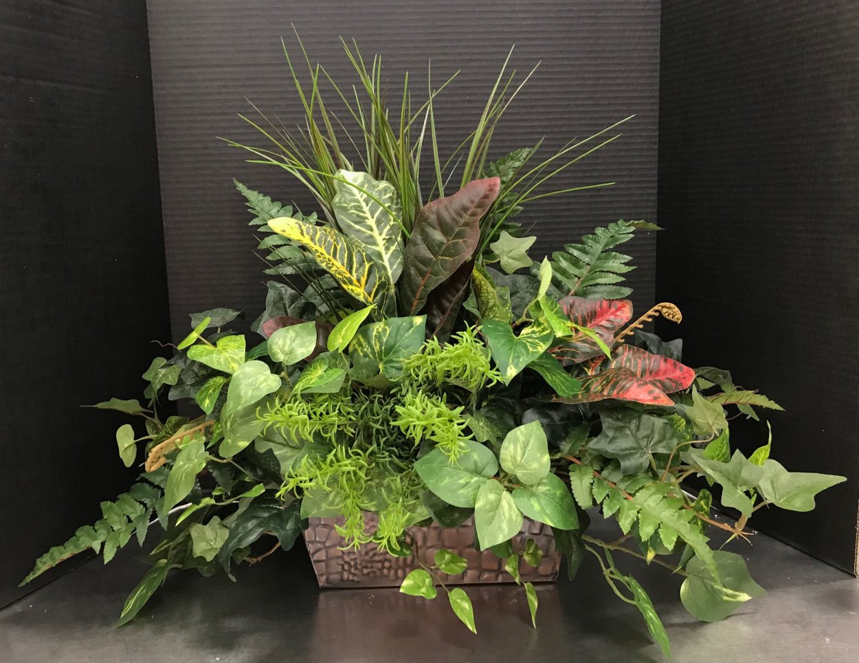Антуриум + фиттония + Хедера;