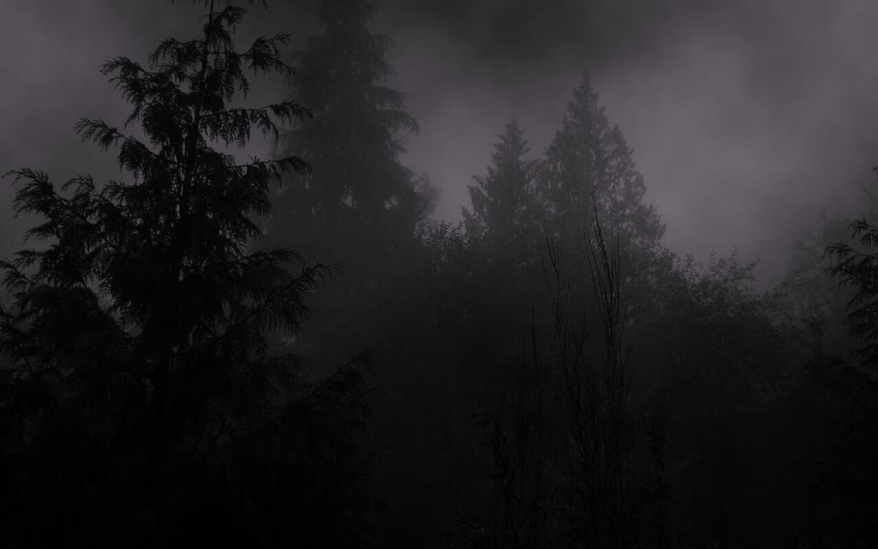 Atmospheric Black Metal лес