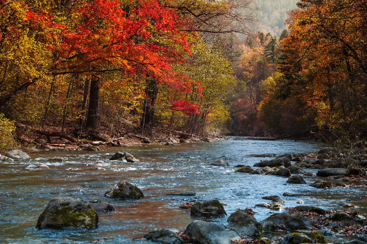 Приморский край осенью