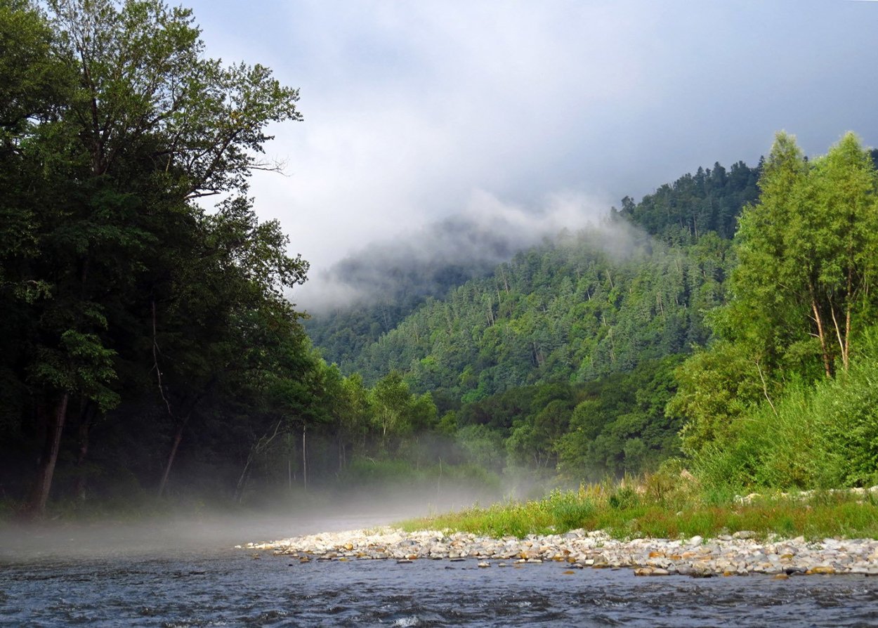 Дальний Восток Уссурийская Тайга