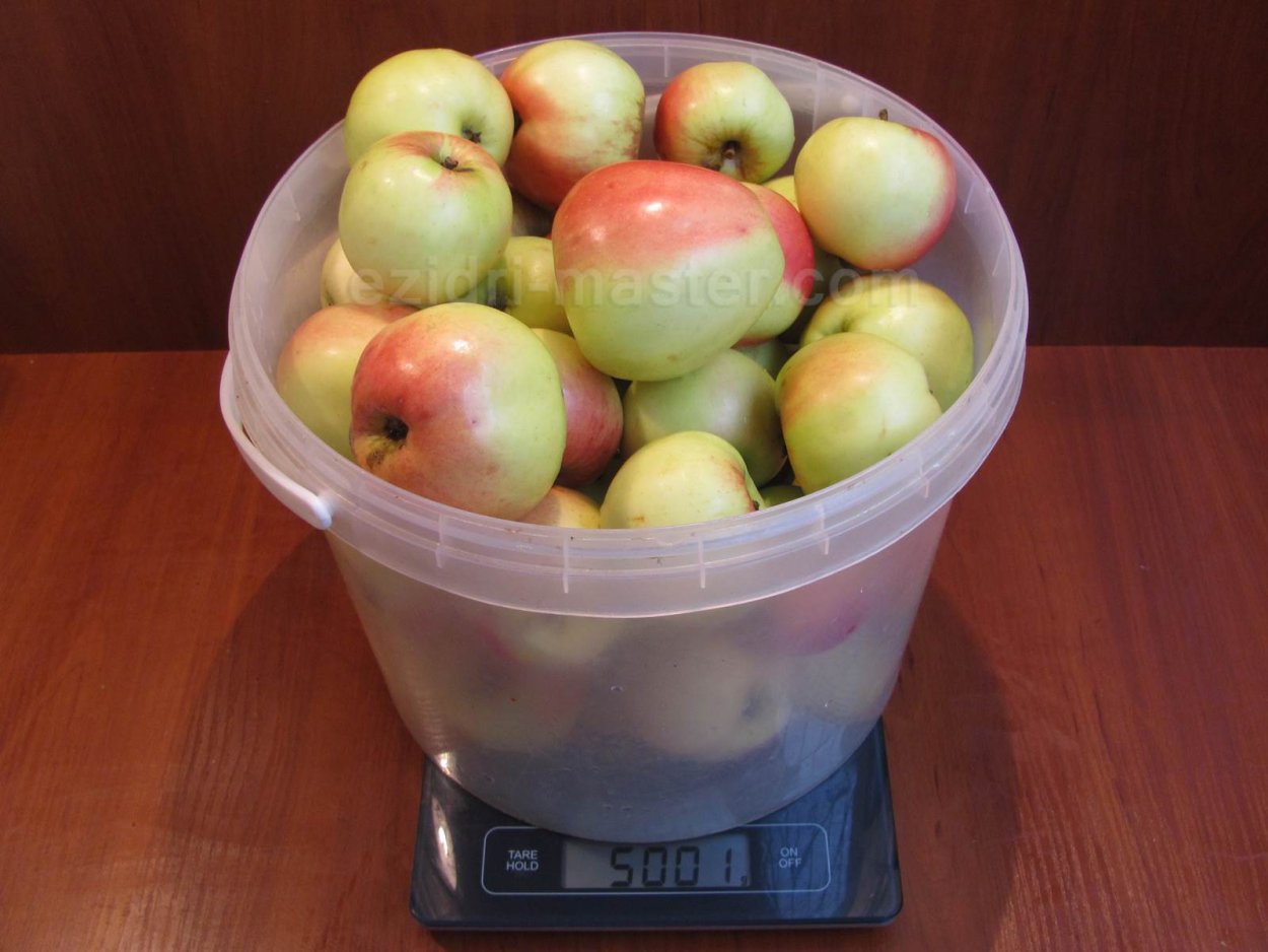 Яблоки снежный Кальвин