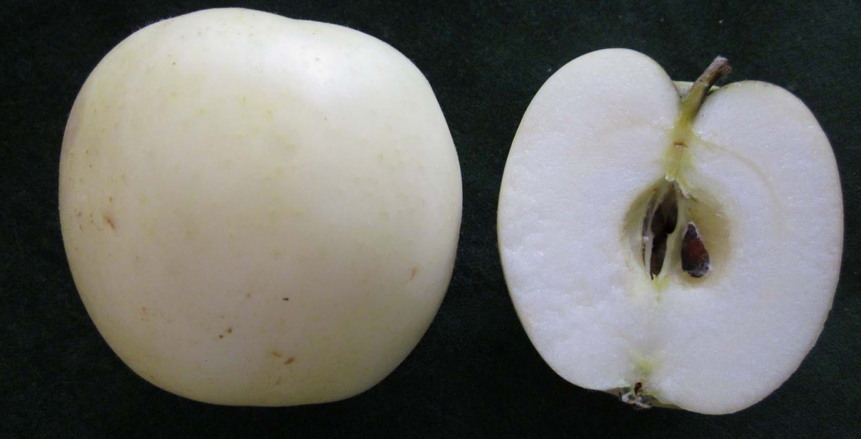 Яблоко с белой кожурой