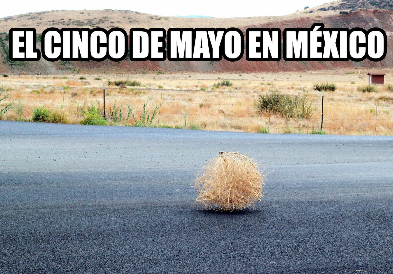 Перекати поле 3д