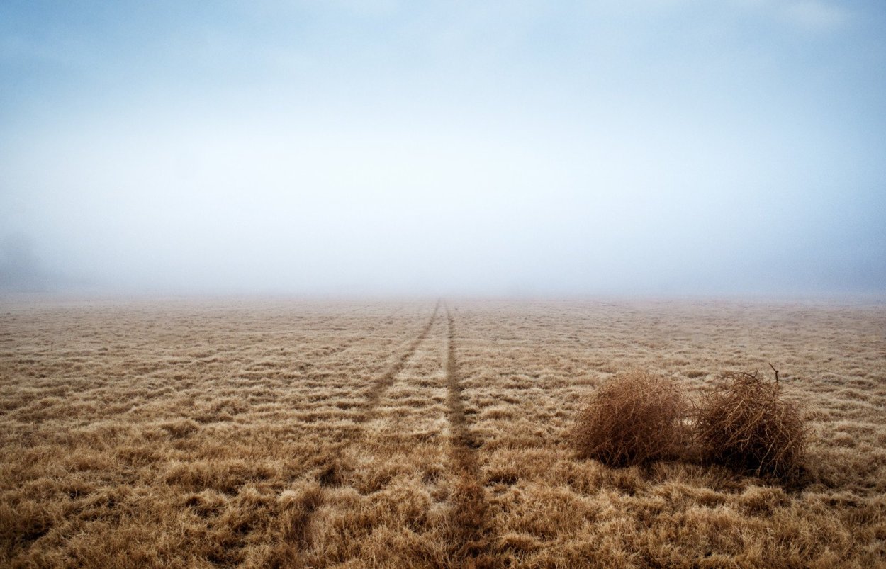 Пейзажи с перекати - поле