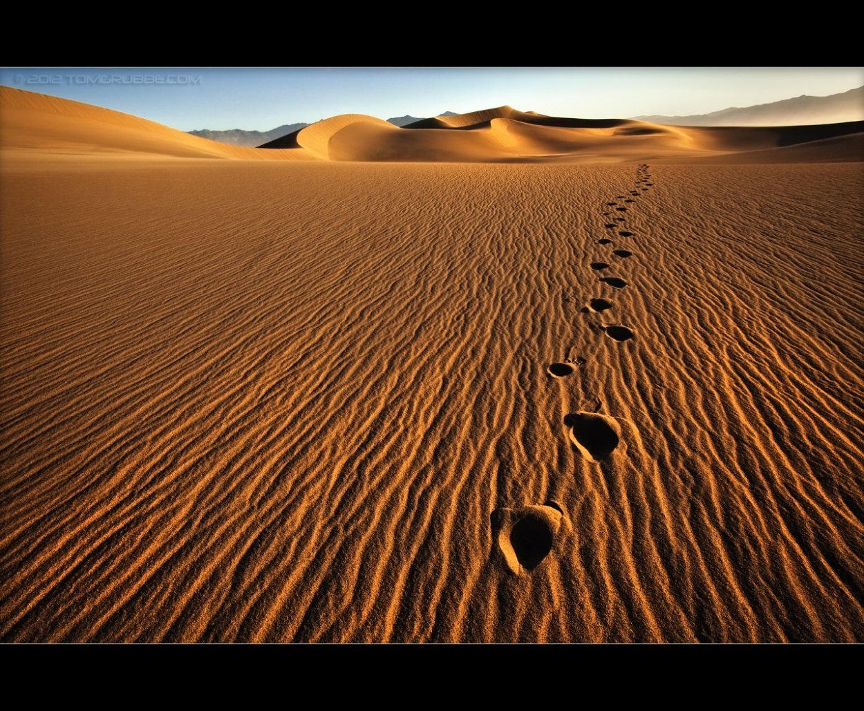 Жара в пустыне