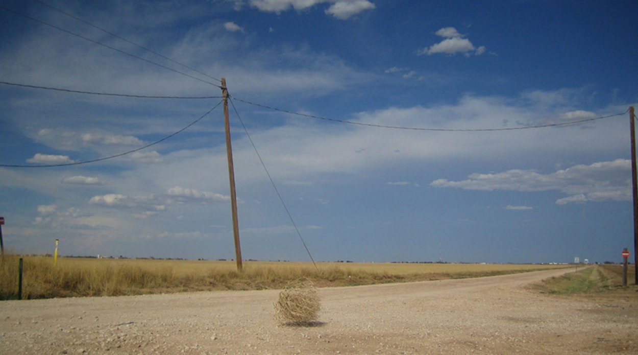 Перекати поле в пустыне