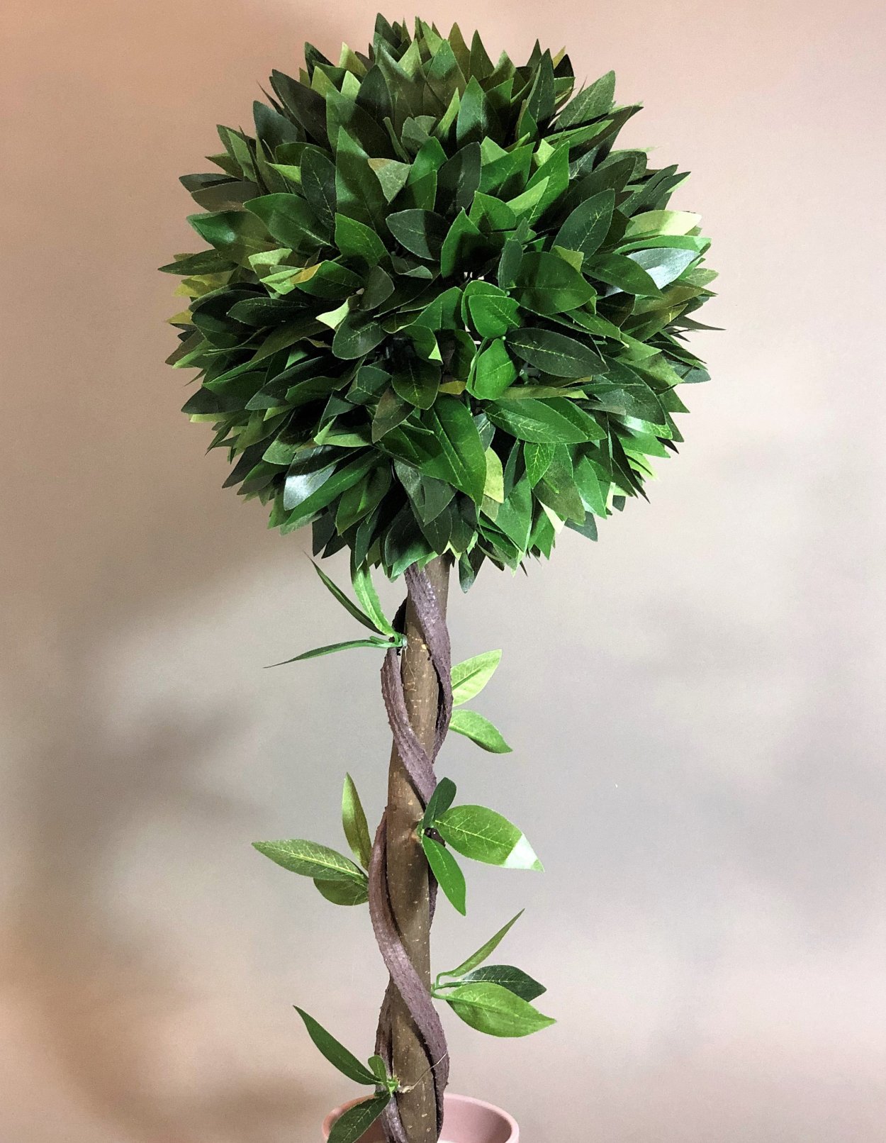 Декоративное деревце