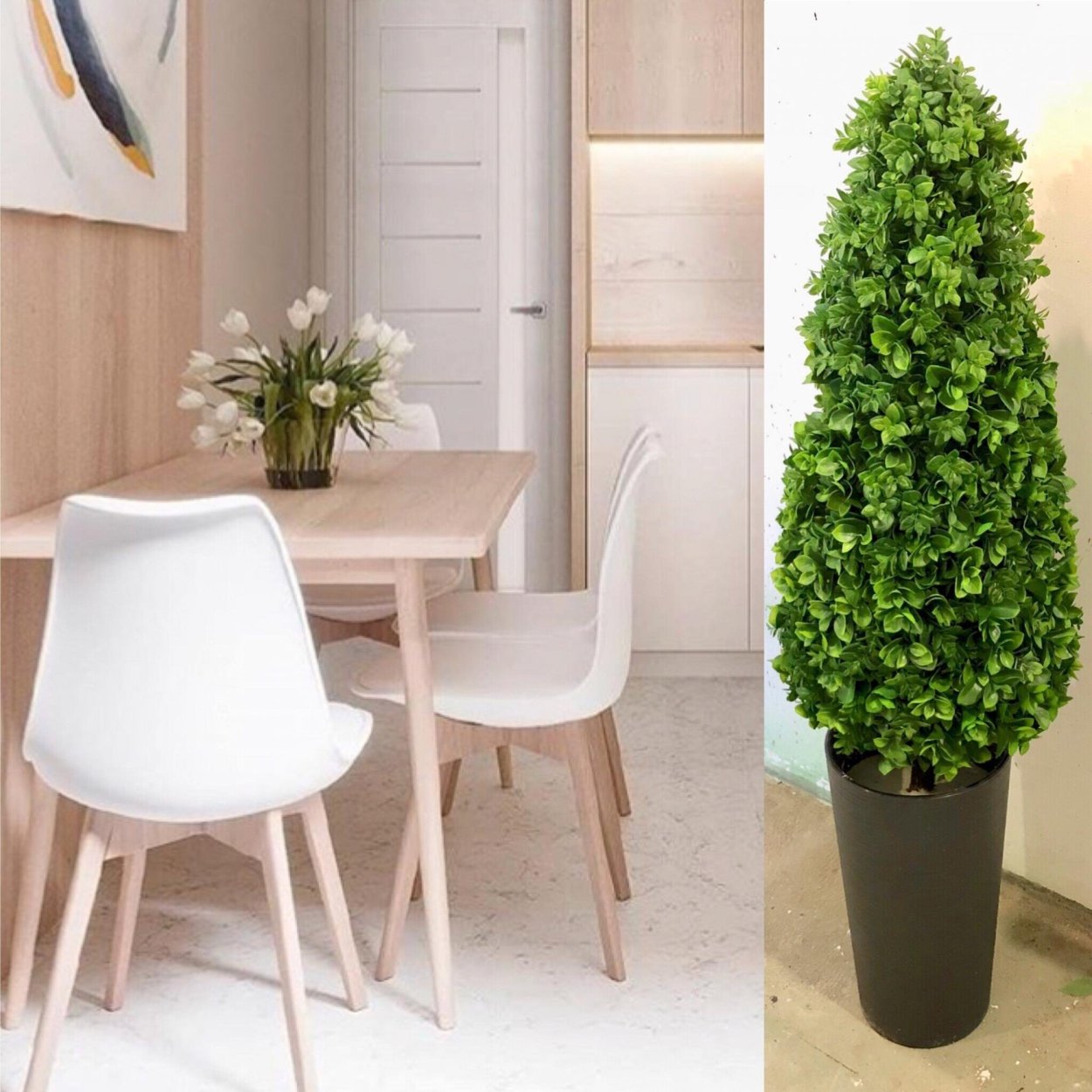 Самшит Леруа