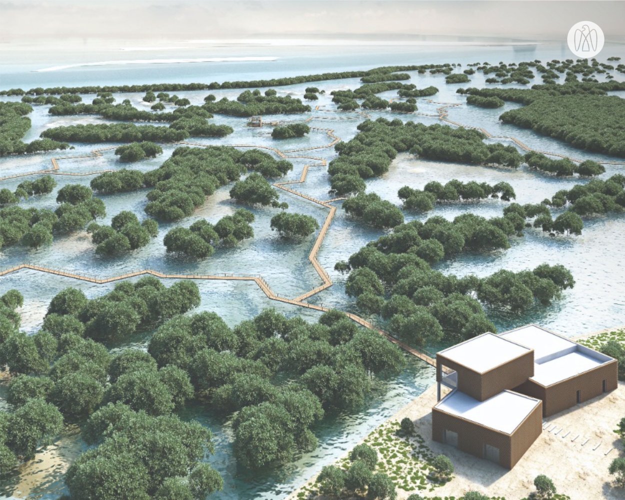 Национальный мангровый парк Абу-Даби